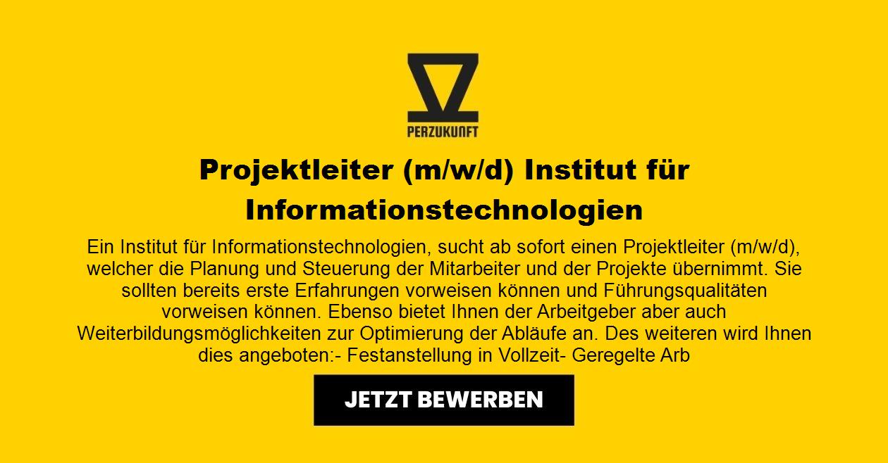 Projektleiter (m/w/d) Institut - Informationstechnologien