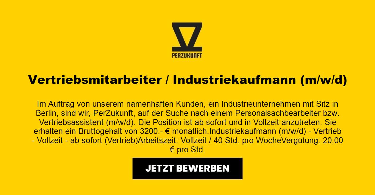 Vertriebsmitarbeiter / Industriekaufmann m/w/d
