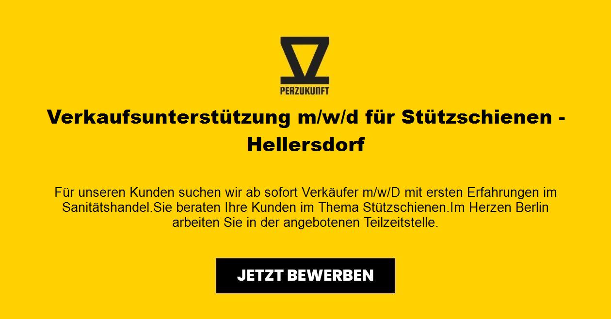 Verkaufsunterstützung m/w/d für Stützschienen - Hellersdorf