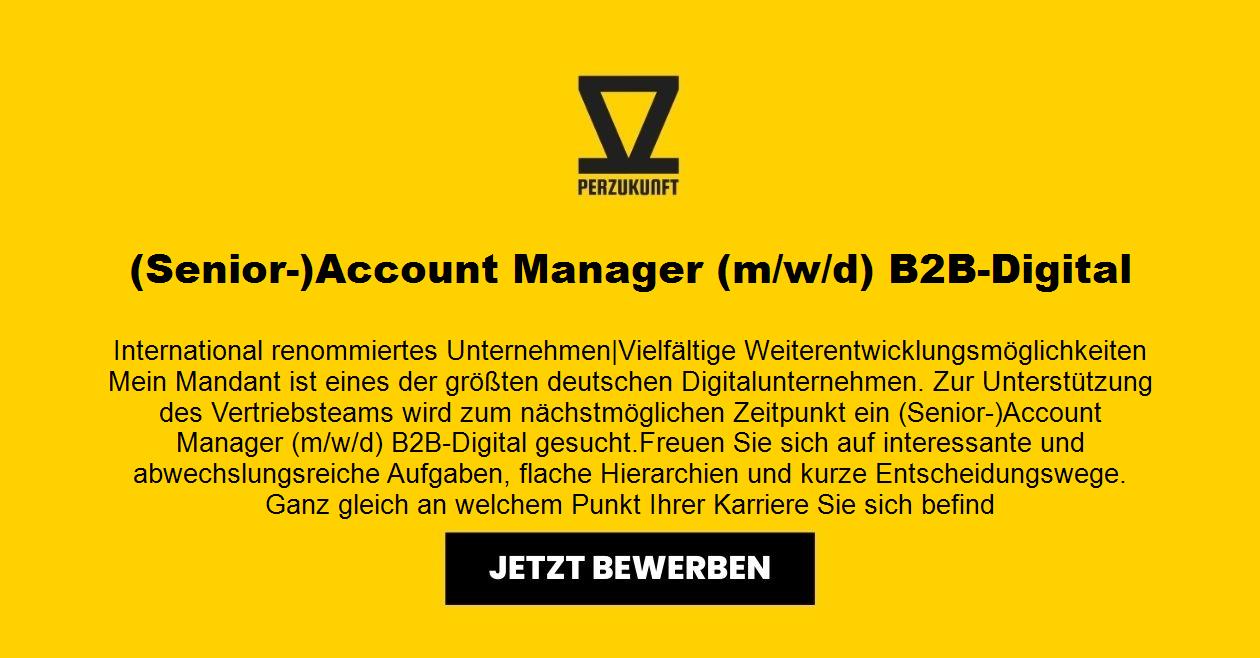 (Senior-)Account Manager (m/w/d) B2B-Digital