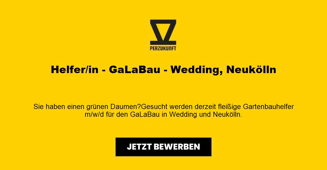 Helfer/in - GaLaBau - Wedding, Neukölln