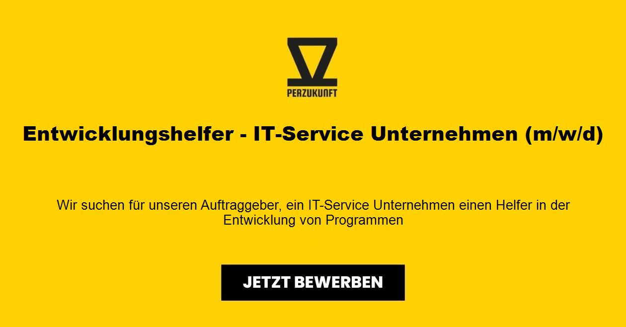 Entwicklungshelfer - IT-Service Unternehmen (m/w/d)
